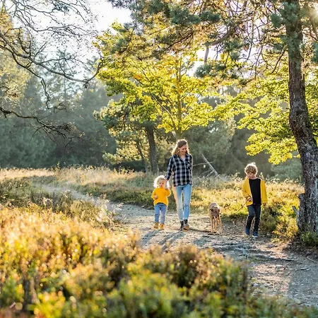 Welcome In - In In Den Bergen, Direkt An Der Piste